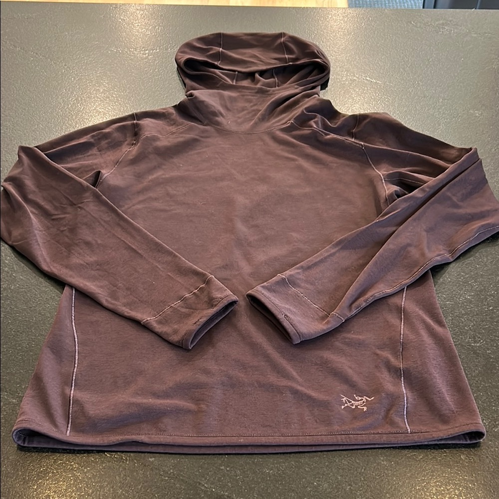 Arc’teryx pullover hoodie Medium